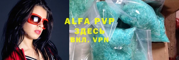 шишки Карпинск