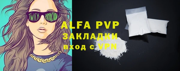шишки Карпинск