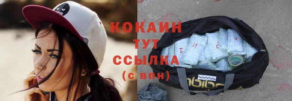 шишки Карпинск