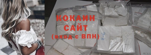 сатива Карталы