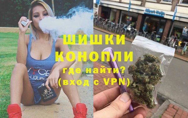 сатива Карталы