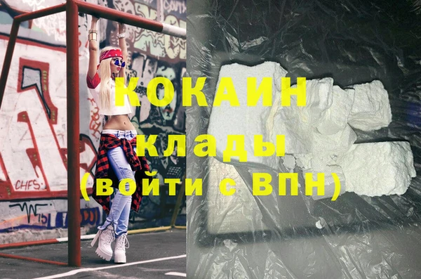 шишки Карпинск