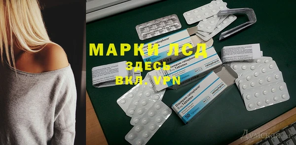 шишки Карпинск