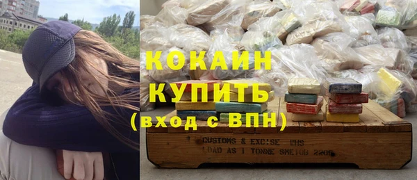 шишки Карпинск