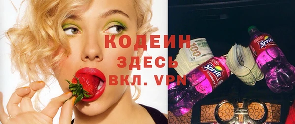 шишки Карпинск