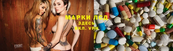 сатива Карталы